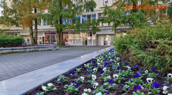 Pronájem obchodní prostor, 66m<sup>2</sup>, nám. Republiky, Havířov