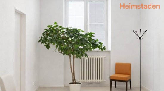 Pronájem kanceláře, 54m<sup>2</sup>, Jana Švermy, Havířov